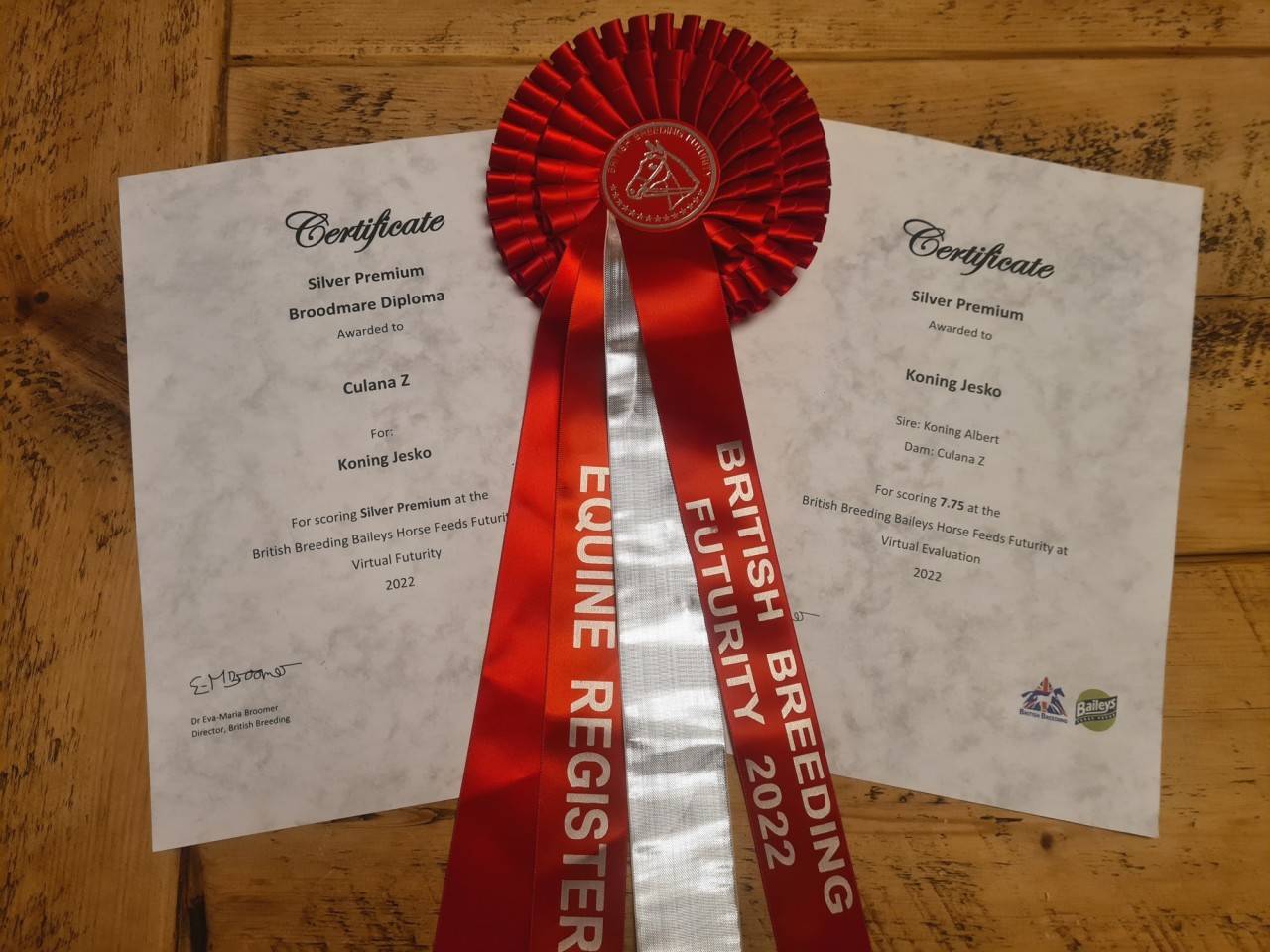 PLEASING RESULTS FOR KONING JESKO & CULANA Z