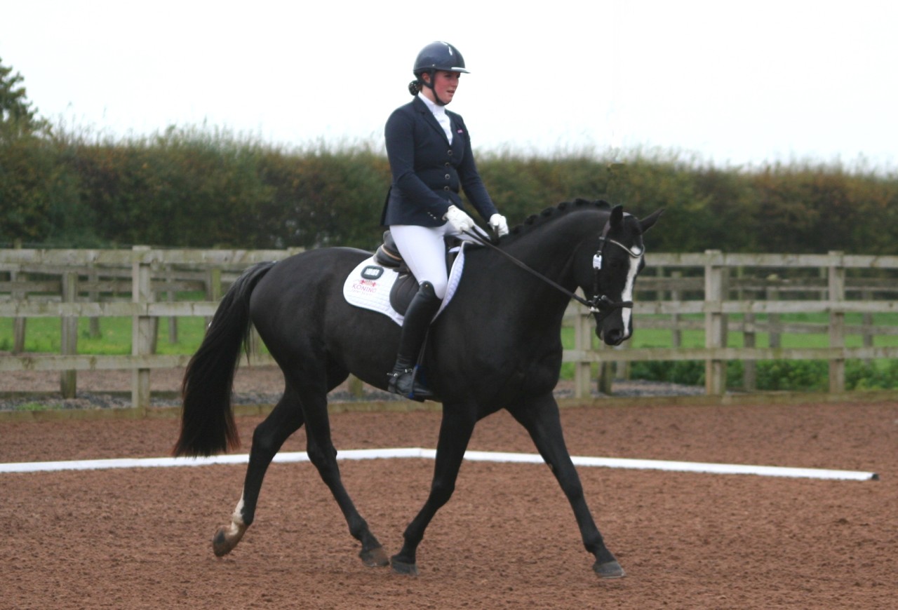 CATCHING THE DRESSAGE JUDGES EYE TODAY