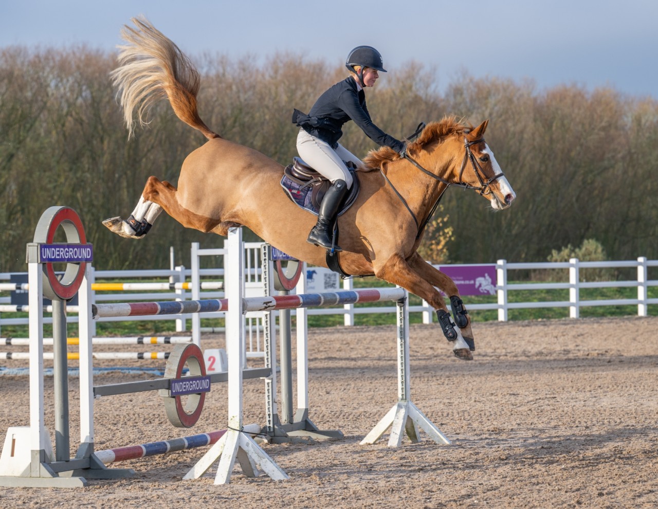 BERMUDEZ BDA QUALIFIES FOR BLUE CHIP B & C