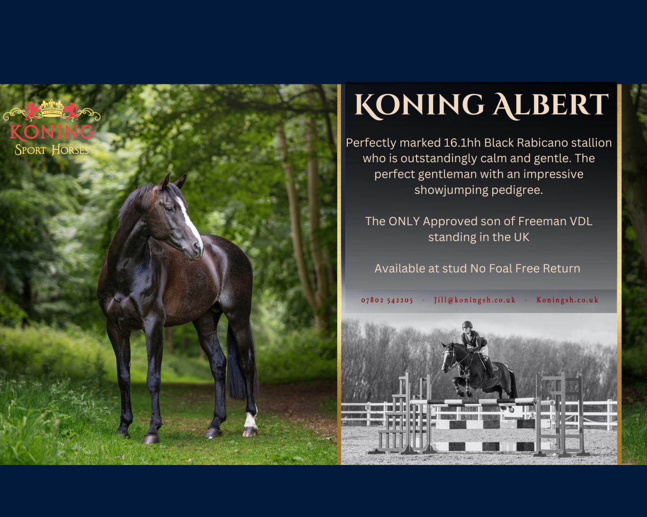 See us at the British Breeding Stallion Show