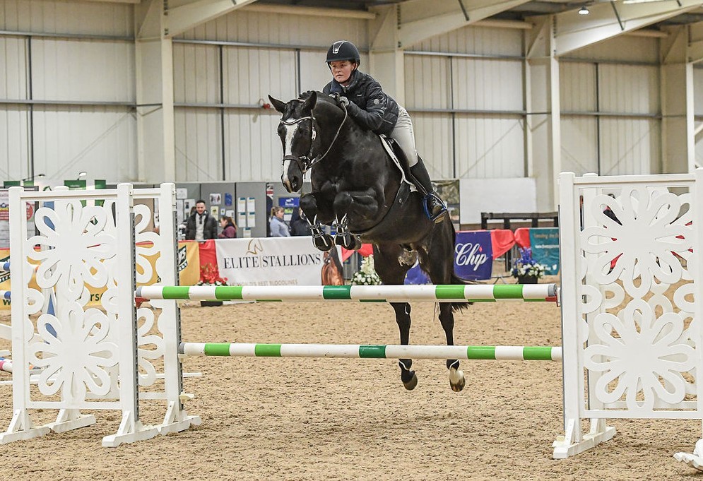 British Breeding Stallion Event Feb 2023