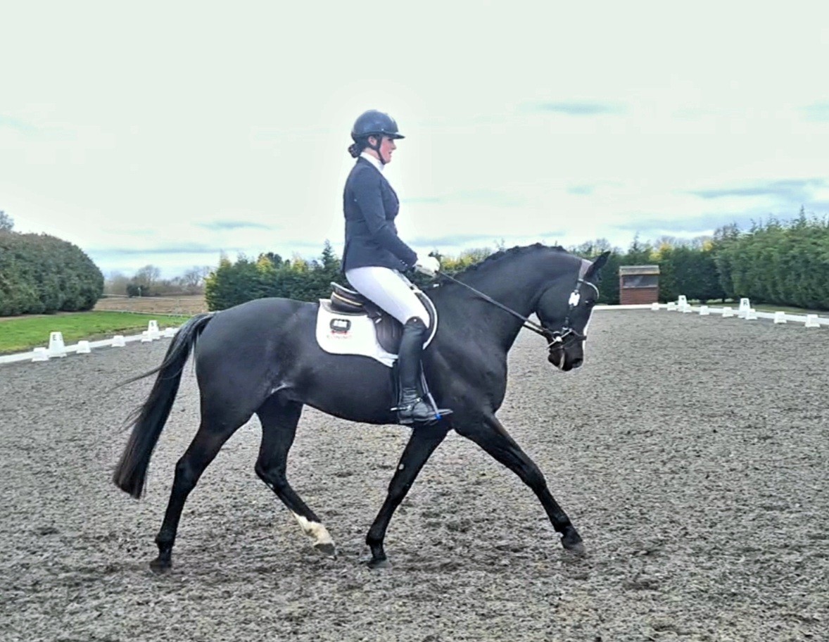 2 Nice tests at Sheepgate Equestrian Centre