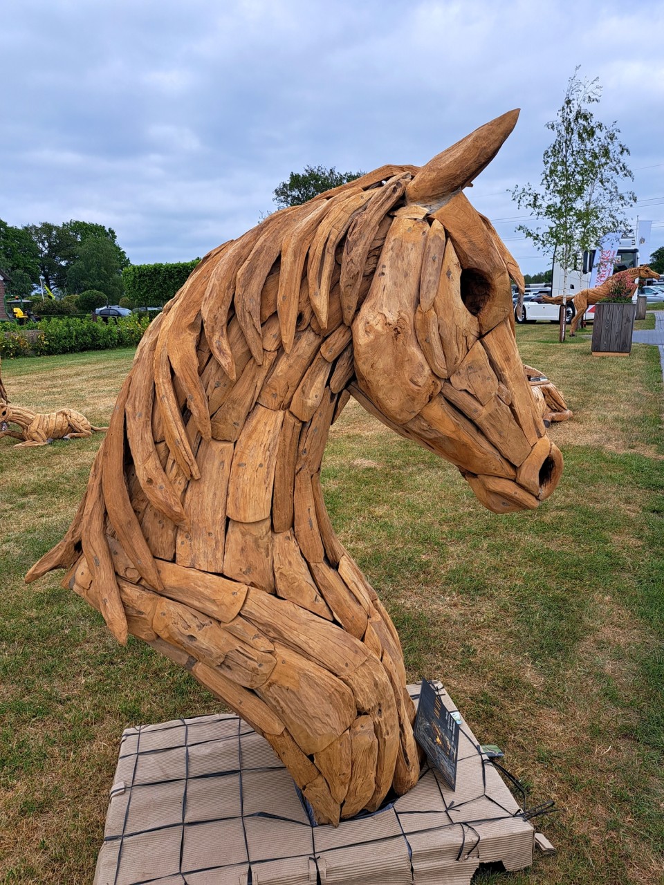 FEI Youth Nations Cup, Zuidwolde, Netherlands