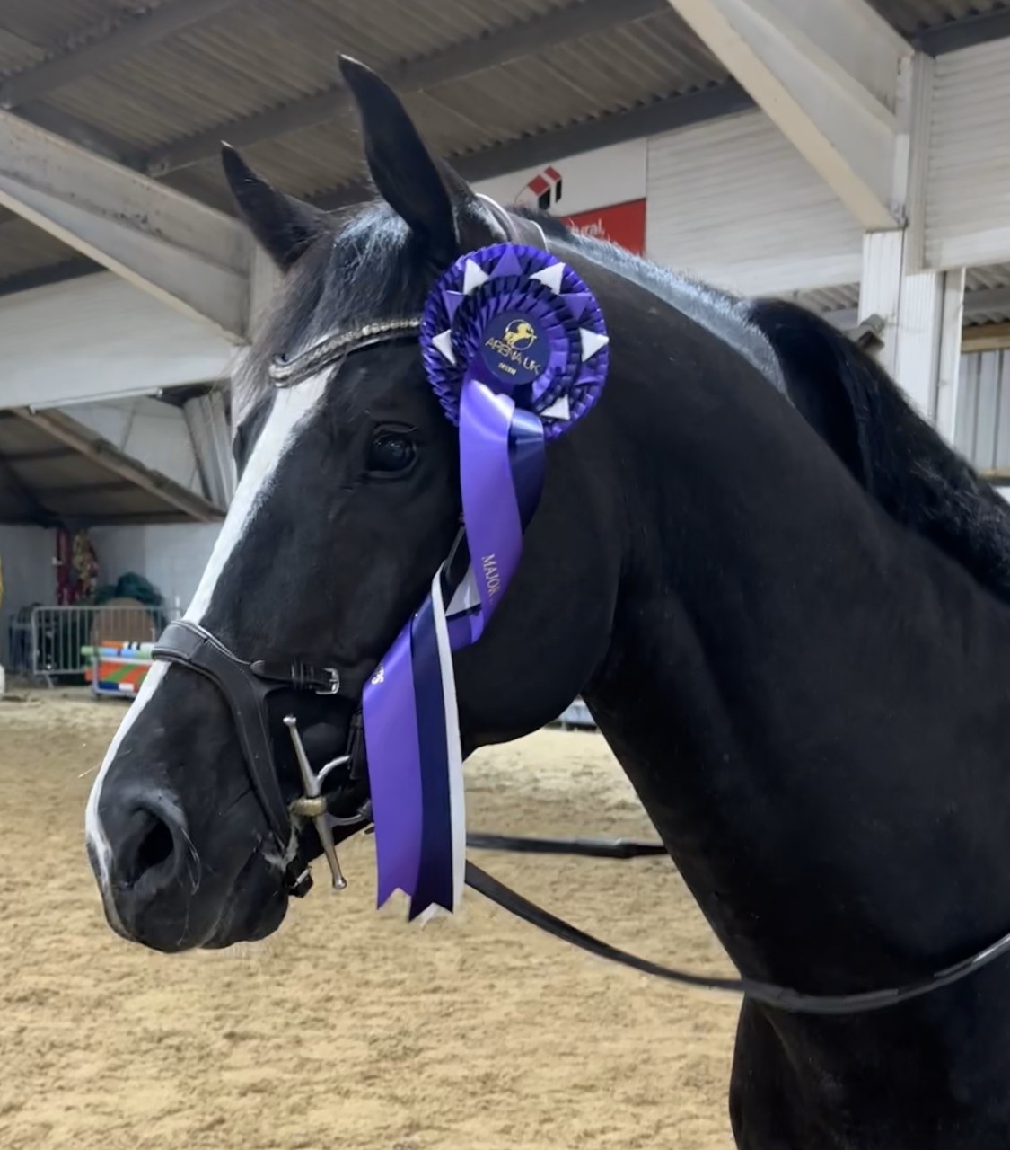ALX Horseboxes Championships, Arena UK