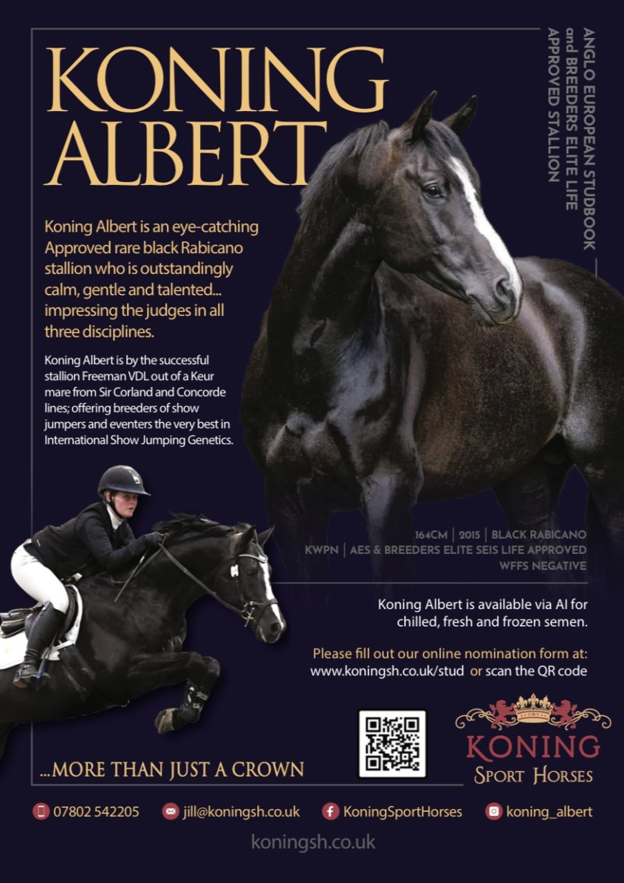 British Breeding Stallion Event 2024