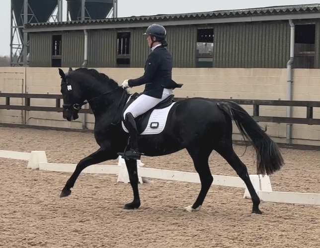 First Elementary Test for Koning Albert