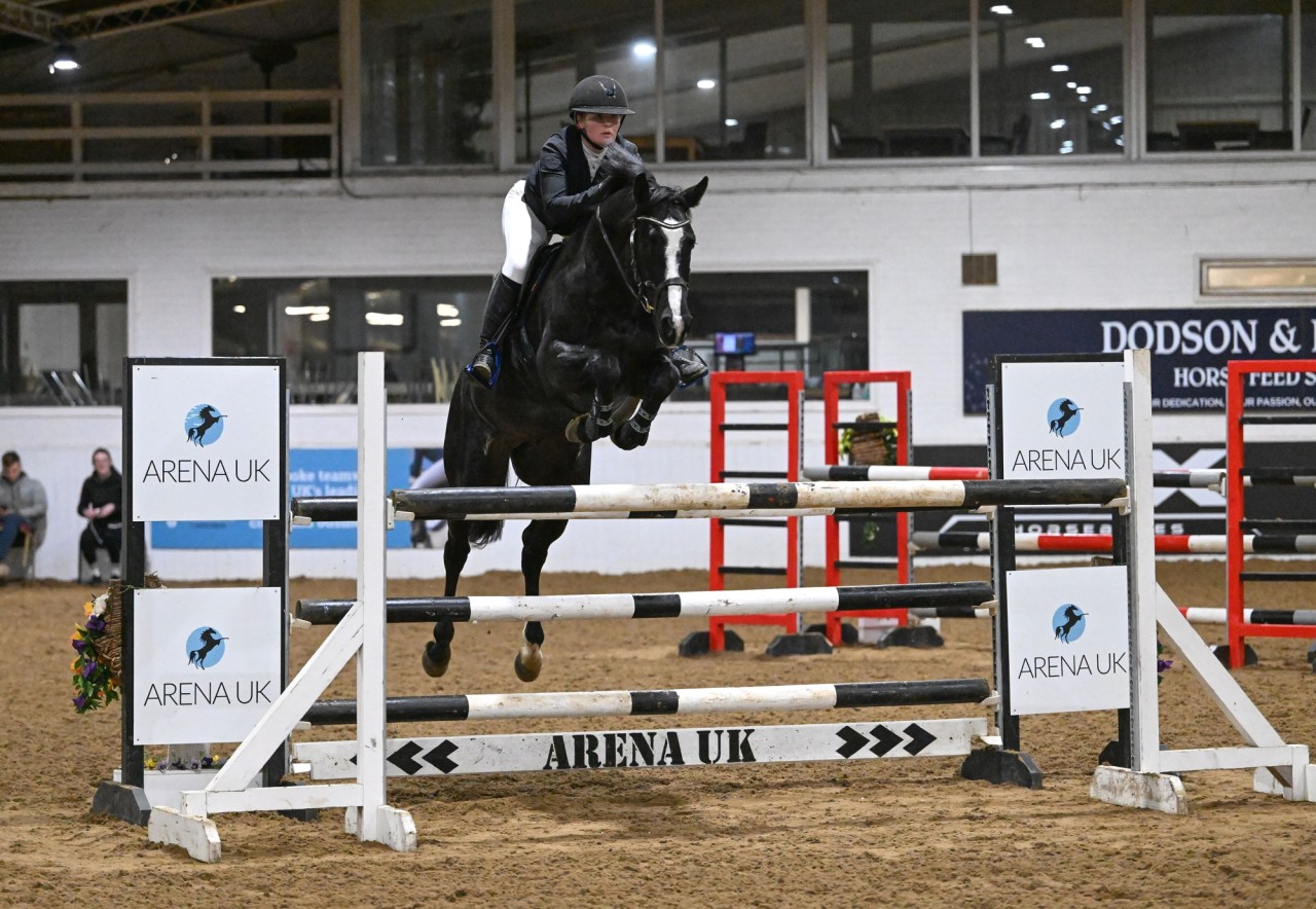 Busy 3 days of dressage and jumping