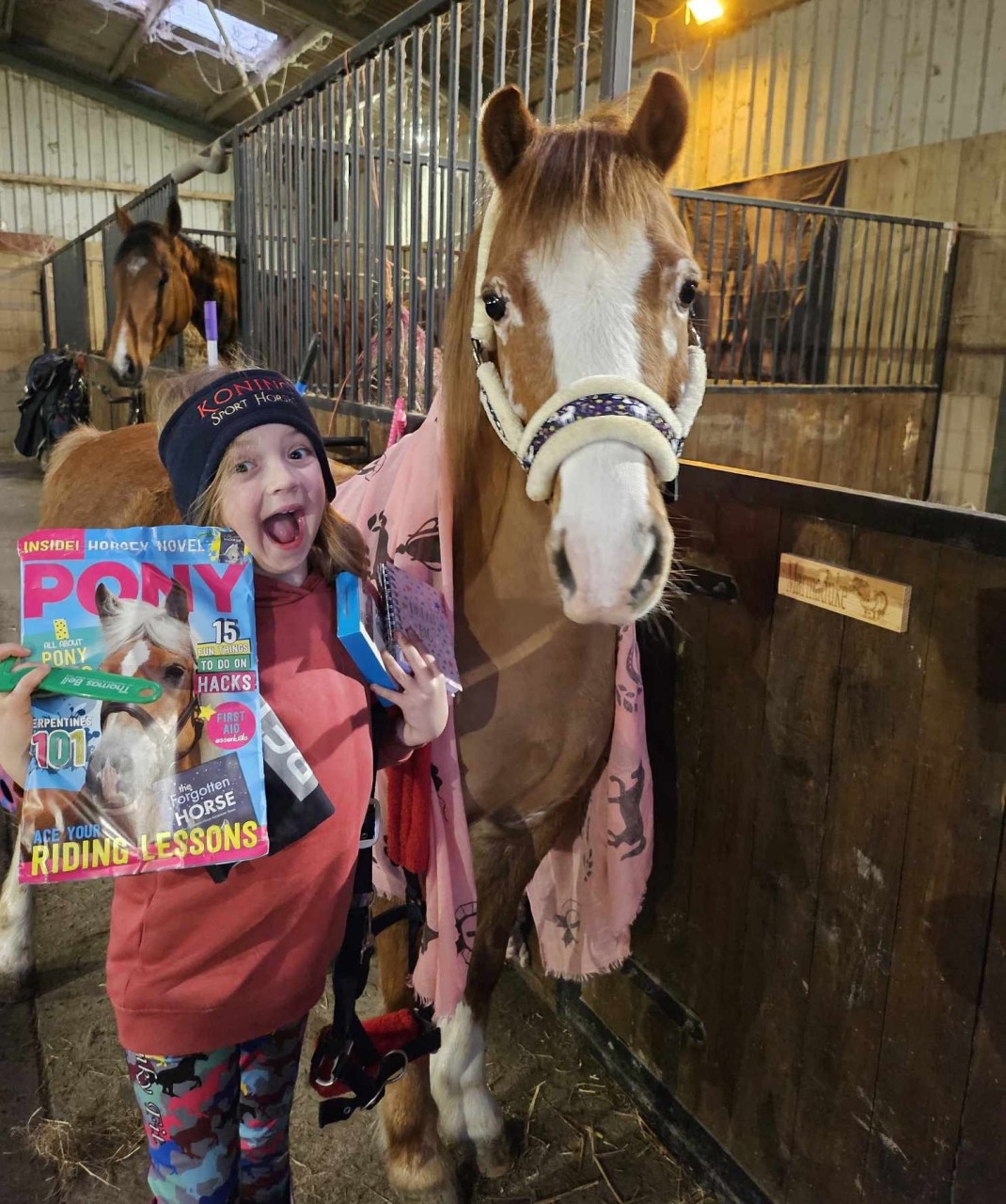 Meet the latest Koning Sport Horses fan