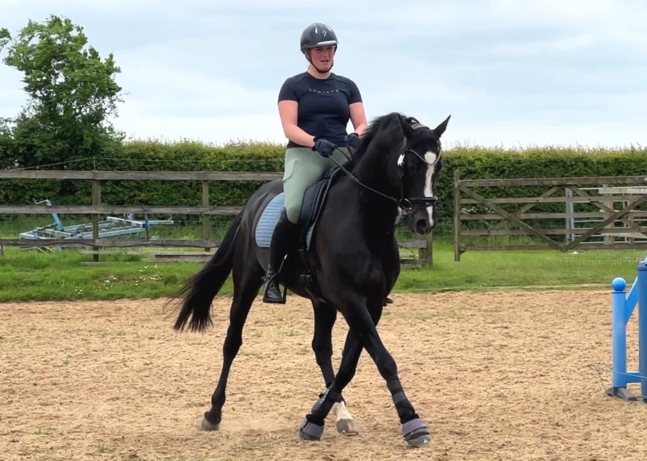 Learning Half Pass, Travers and Renvers today