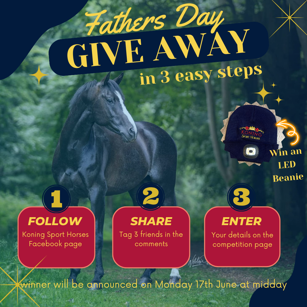 Father's Day Giveaway