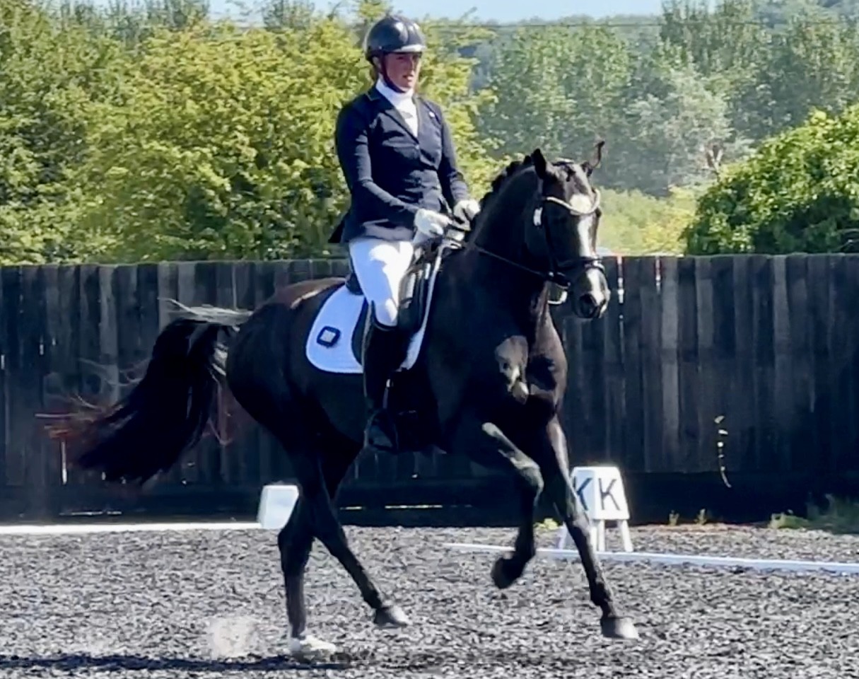 Judges love Koning Albert at Manor Grange