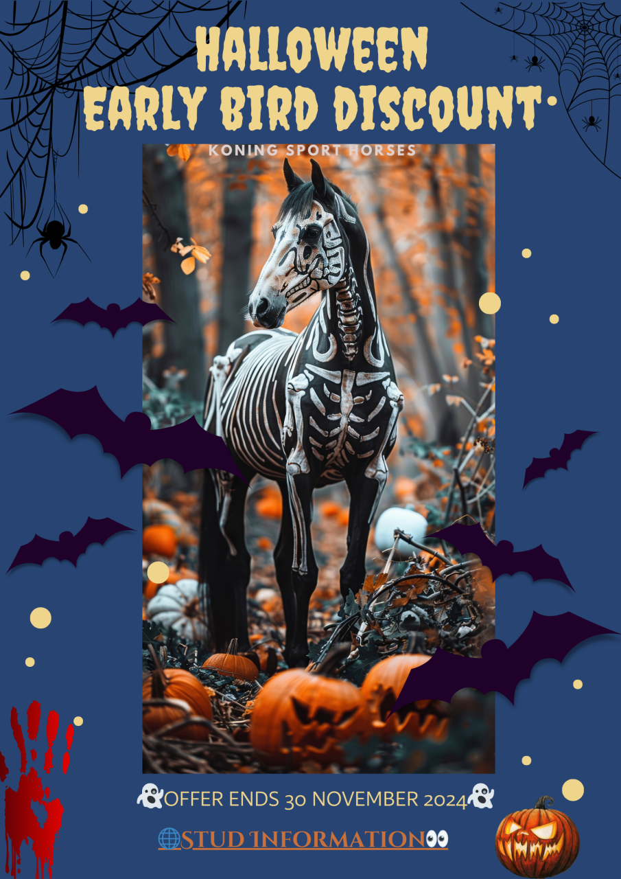 Spooktacular Offer on Koning Albert's Stud fee