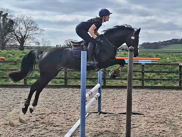 PRODUCTIVE FIRST JUMPING LESSON AFTER LOCKDOWN