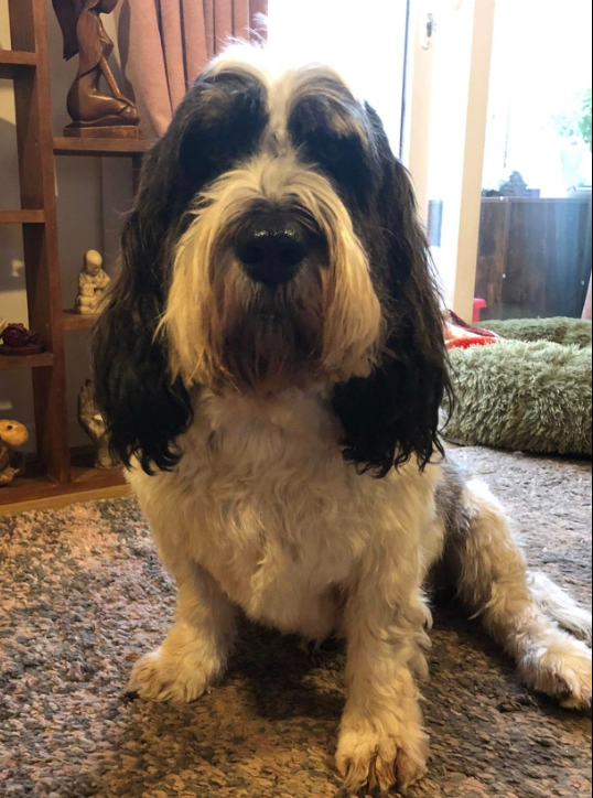 Lisa Thompson - Virtual Assistant