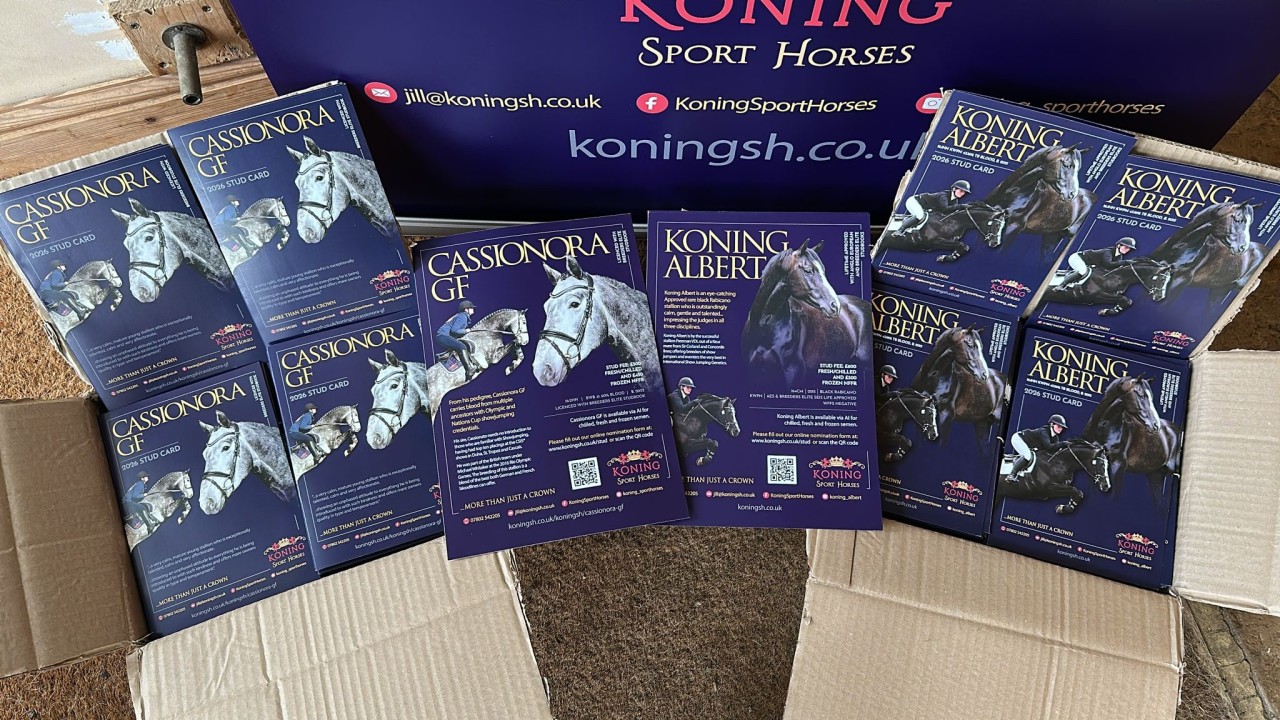 The new Stud Cards and promo material is here