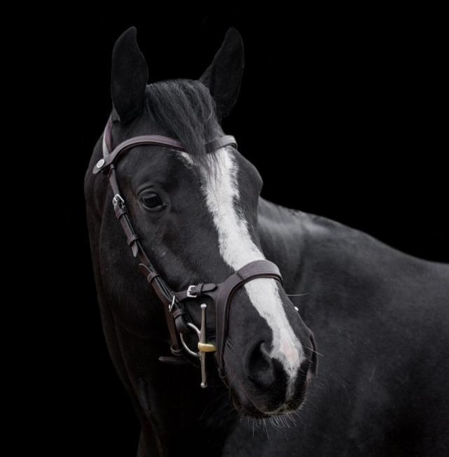 FABULOUS PHOTO-SHOOT WITH JEMMA SMITH PHOTOGRAPHY