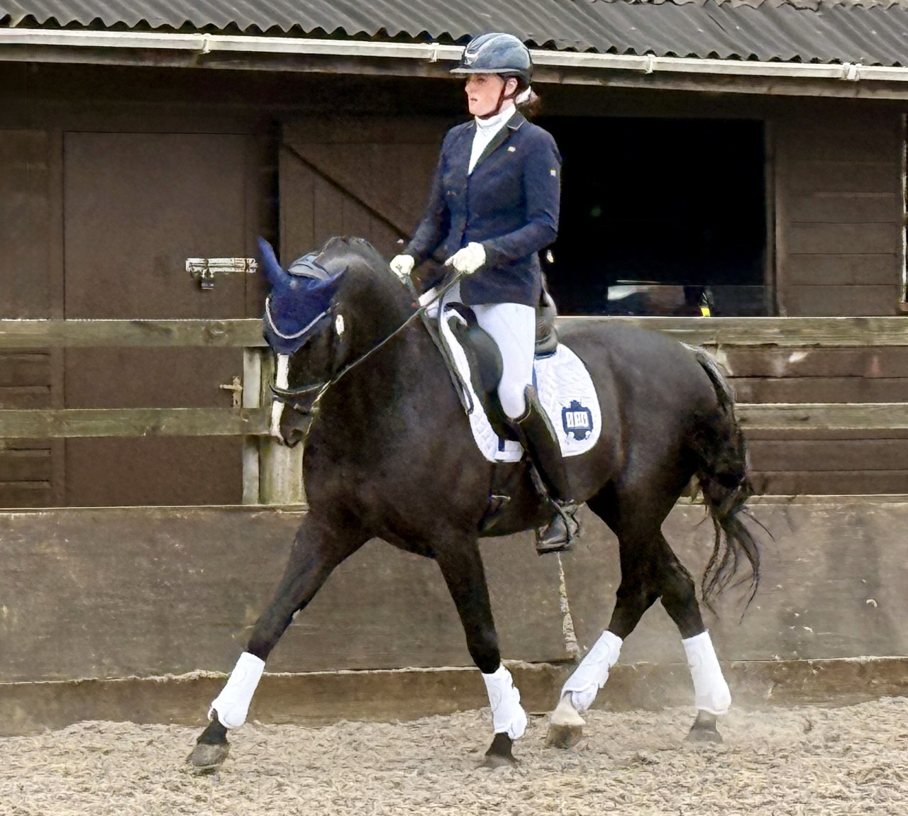Sheepgate success for Koning Albert & Lyon HK