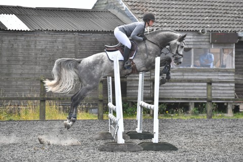 Cassionora GF jumping a fence