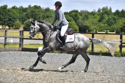 Cassionora GF cantering