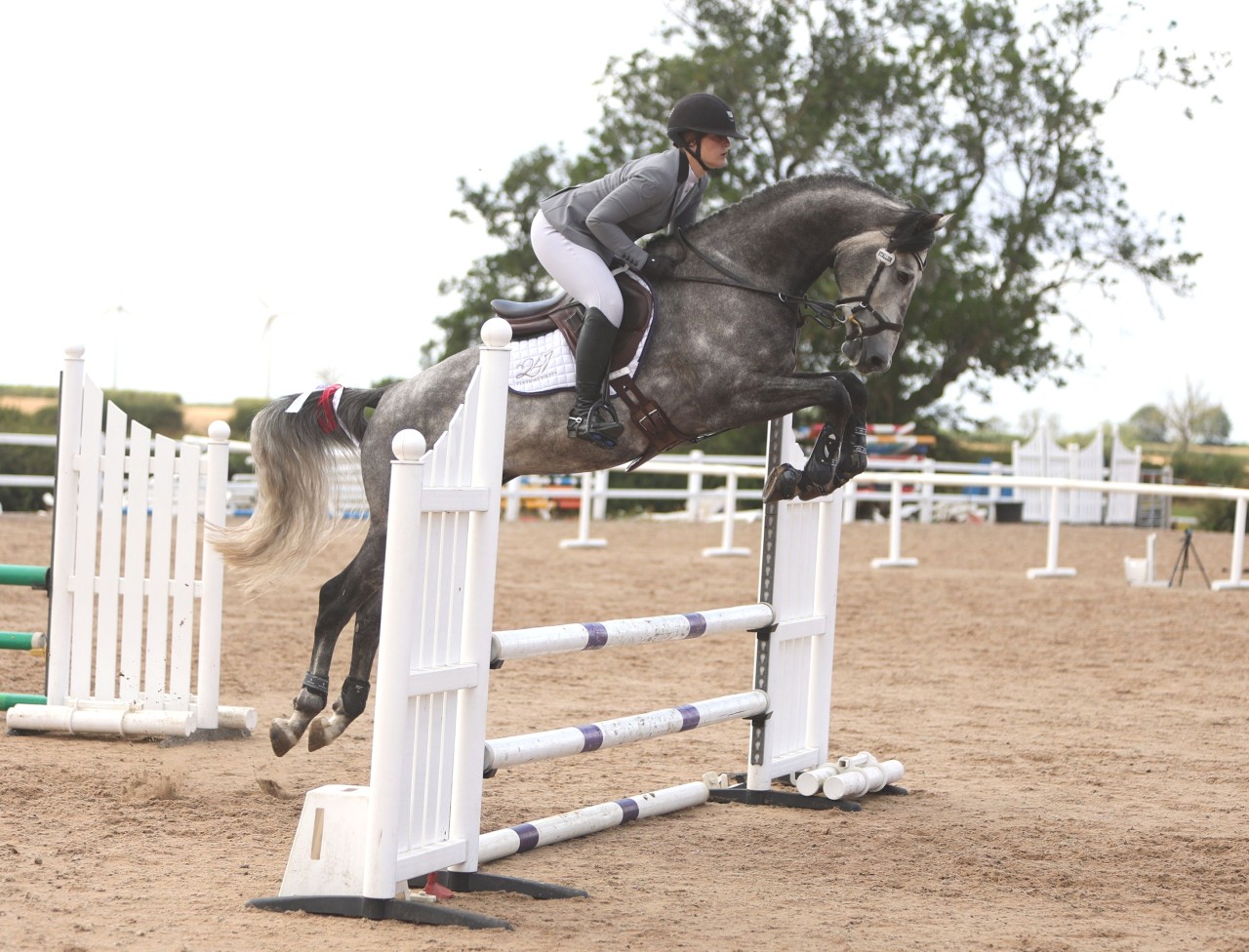 Another outing for Cassionora GF at Vale View Equestrian Centre
