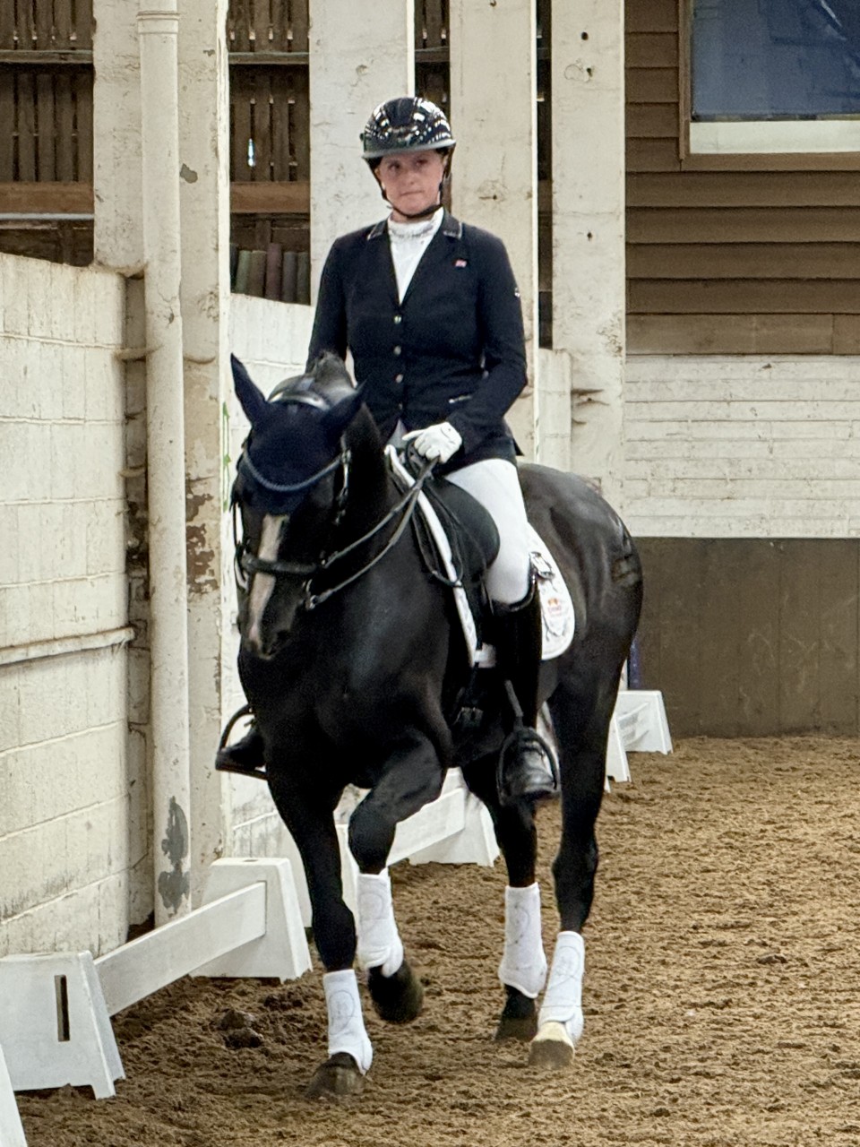 Bury Farm High Profile Dressage Show