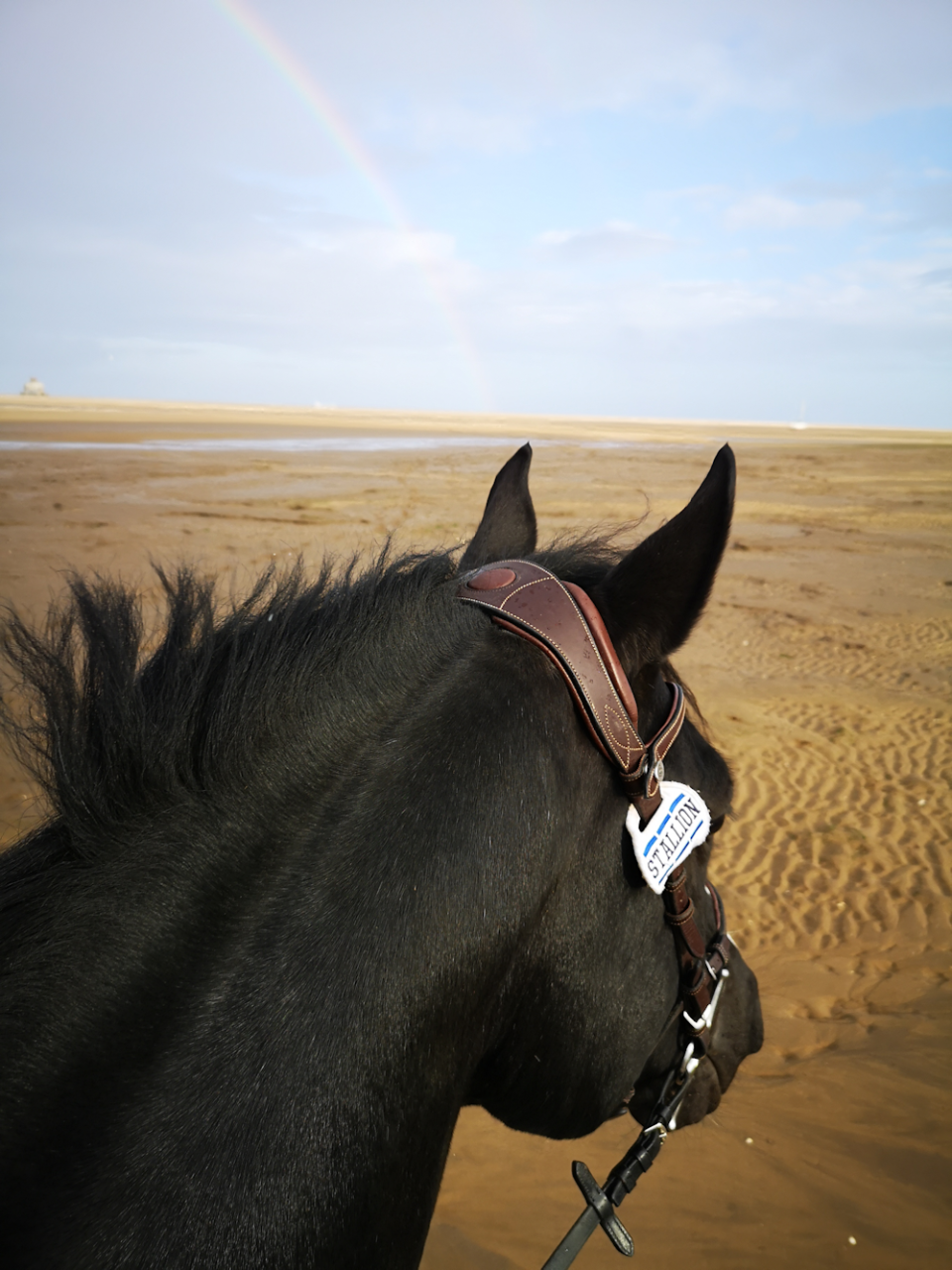 KONING ALBERT STARTS HIS HOLIDAYS