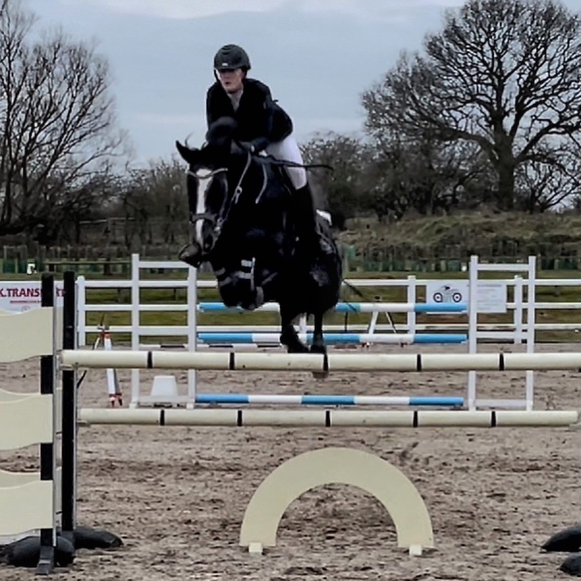 WILLOW BANKS JANUARY SHOW