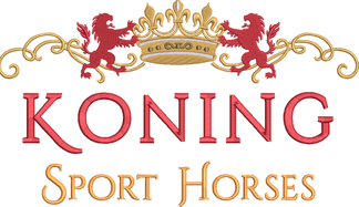 Koning Sport Horses